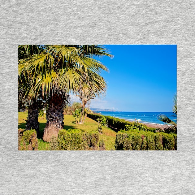 Palm trees Torrox Costa Del Sol Andalusia Costa Spain by AndyEvansPhotos